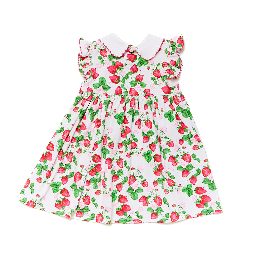 Pima Flutter Sleeve Dress in Strawberry Fields - Nanducket