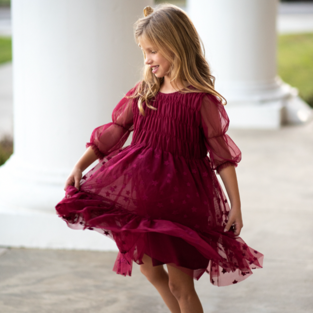 Holly Berry Party Mesh Dress - Nanducket